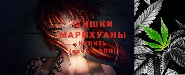 шишки Нея