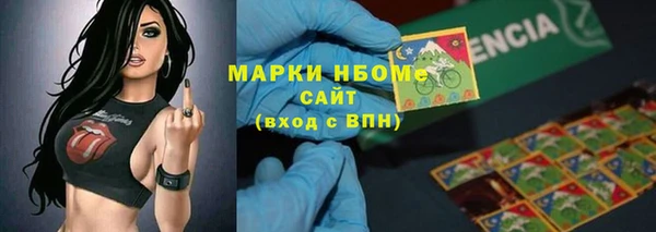 индика Белая Холуница