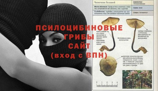 шишки Нея