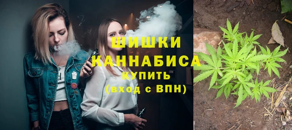 шишки Нея