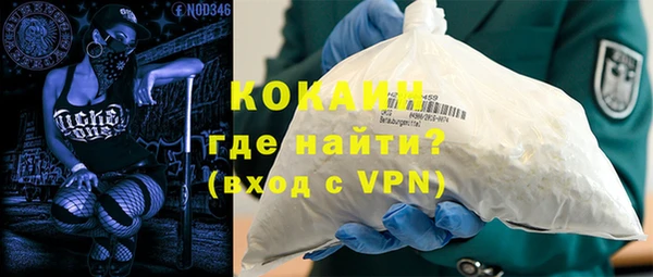 шишки Нея