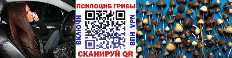 Псилоцибиновые грибы MAGIC MUSHROOMS  Черкесск 